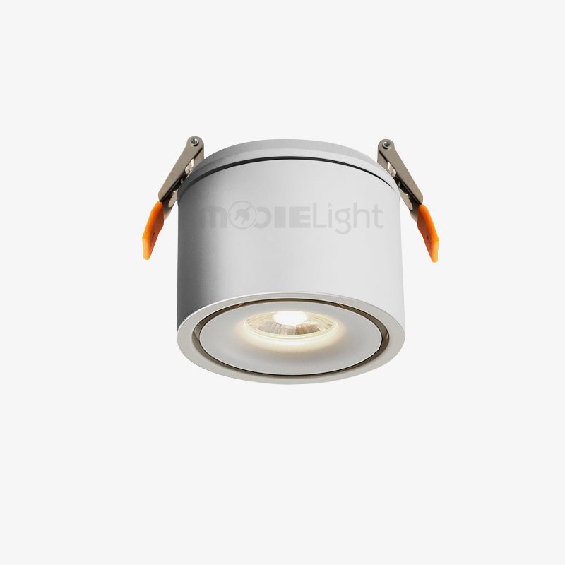 LED Downlights