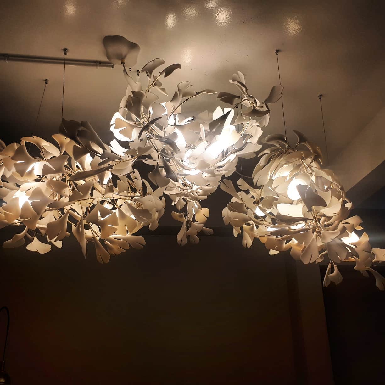 Gingko Chandelier G - Mooielight - Gingko Chandelier G